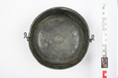 Foto von Bronzerippenziste (NHMW-PRAE-025462)